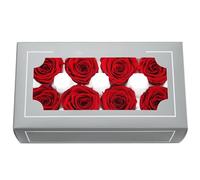 Têtes de Roses Éternelles Haut de Gamme Naturelles (4-5cm) - Durée 3-5 Ans, Déco Maison, Cadeaux Festifs, DIY - sans Entretien & Écologique (Rouge)
