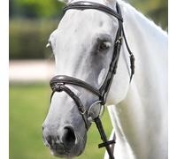 Têtière frontal-licol brodés Tattini Noir Cob