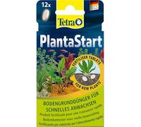 Tetra - 146839 - PlantaStart