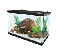 Tetra Aquarium, 78 litres, kit complet d'aquarium tropical avec éclairage LED pour poissons d'eau douce