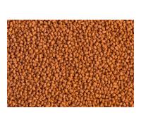 TETRA ReptoMin Energy - Aliment Complet énergétique pour tortue d'Eau - 100ml