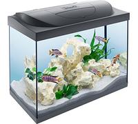 Tetra Starter Line Aquarium en kit complet avec éclairage LED