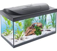 TETRA Starter Line - Aquarium LED Complet pour Débutants, Poisson - 54L