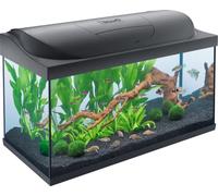 Tetra Starter Line LED Set Noir 105L