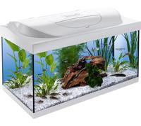 Tetra Starter Line LED White 54L