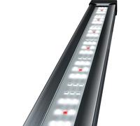 Tetra Tetronic Led Proline 980