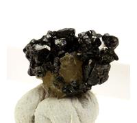 Tetrahedrite + Dolomite. 13.5 Ct. Mésage Mine, Saint-Pierre-De-Mésage, France.