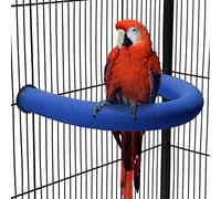 TeTupGa Perchoir en forme de U pour perroquet - Jouet pour animal domestique - Plateforme de sable - Pour poncer les pattes - Accessoire pour conure, perruche, calopsitte - Bleu - Taille L