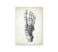 Teweakt Anatomie Squelette Pied Cerveau Coeur crâne Vintage Art Toile Peinture Nordique Affiche et Impressions Mur Photos médecin Bureau décor(C,40x50cm Unframed)
