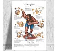 Teweakt Tableau Anatomique Anatomie du Corps Humain Affiche d'art médical Toile Peinture Mur Photo for la décoration intérieure Affiches et Impressions(0018,18x24 inch Unframed)