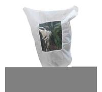 Tewzafiya Couvertures De Protection De | Protecteur Contre Le pour De Jardin,Veste De Fleurs avec Lanière - pour Jardin À Serre Cassone Relevé Rose Pot Arbre Palmier Fruit Agrumes