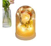 Tewzafiya Préservé | Bouquet de Roses avec lumière dans Cloche en Verre - Fleurs avec lumière, pour mères, Femmes, sœurs, Filles, épouses, Saint-Valentin, Anniversaire, Noël