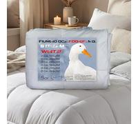 Tex family Couette d’Oie “Stream 500 g/m²” - 80 % Duvet d’oie + 20 % Plume - Couette Hiver Chaude Pol Blanc - Parfait pour Nuits fraîches - Cm. 155x200