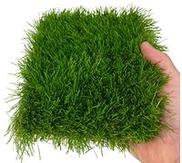Tex family Pelouse synthétique Windsor © Herbe Faux Tapis Manto Jardin Réaliste 5 Nuances Qualité Extra - 50 mm. 1 x 5 m 5 m².