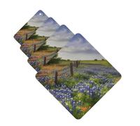 Texas Bluebonnets - Lot de 4 désodorisants pour voiture - Cartes parfumées à suspendre - Longue durée - Pour armoire, salle de bain, voiture, miroir intérieur
