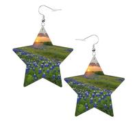 Texas Bluebonnets Scenery Boucles d'oreilles élégantes en cuir Motif étoile Accessoires tendance et uniques pour un usage quotidien, taille unique