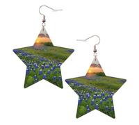 Texas Bluebonnets Scenery Boucles d'oreilles élégantes en cuir Motif étoile Accessoires tendance et uniques pour un usage quotidien, taille unique