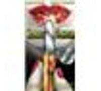 Texas chainsaw - VHS G