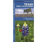 Texas Trees amp Wildflowers A Folding Pocket Guide to Familiar Species Kavanagh (Auteur)
