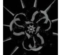 Text Of Light - 052402 Echo 4alan Licht&Lee Ronaldo [Import]