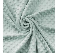 Textrend, Premium Microfibre plush Minky fabric Short fabric on metre in many colours, textile 1.6 m 380 g/m2 (Sauge claire)