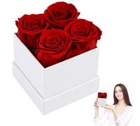Texvora Roses Rouges préservées en boîte, Cadeau de Roses pour Elle, Vraies Roses Qui se conservent Pendant des années, Roses Naturelles en boîte pour Saint-Valentin, Anniversaire, Mariage