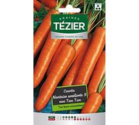 Tezier - Carotte Nantaise améliorée 3 race Tam Tam Fort Grammage