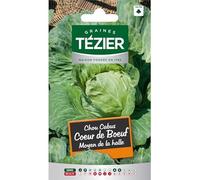 Tezier - Chou Cabus Cœur de Bœuf Moyen de la halle