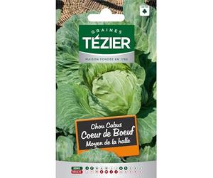 Tezier - Chou Cabus Cœur de Bœuf Moyen de la halle