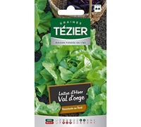 Tezier - Laitue d'Hiver Val d'Orge (G,B,)