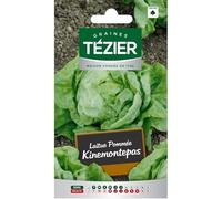 Tezier - Laitue Pommée Kinemontepas (G,N,)