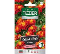 Tezier - Oeillet d'Inde Carmen -- Fleurs annuelles