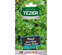 Tezier - Persil Géant d'Italie (Gigante d'Italia)
