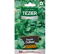 Tezier - Roquette Cultivée