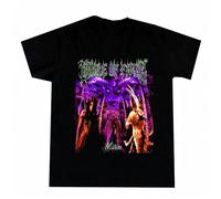 tf6jres Vintage Rare Cradle of Filth Shortsleeve Tortured Soul Asylum T-Shirt A085 Black Black