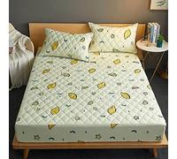 TFBHL Filage d'ajustement étanche matelassé avec Un Matelas élastique Protecteur Color de lit de Couleur Unie (Pas de taie d'oreiller) (Couleur: C, Taille: 120x200x30cm)
