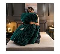 Tfbhl Lits draps Ensemble en Velours couchet de Couette de Couvre-literie de Couvercle 150x200 180x220 220x230 Luxury de Luxe Hiver Chaussé Flee-Snow Couleurs de Couleurs de lit (Couleur: C, Taille: