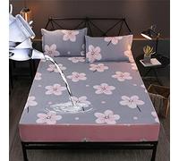 TFBHL Matelas imperméable Protecteur Plau de Protection Feuille de lit d'eau séparée avec Couverture de Matelas à lit élastique (Couleur: C, Taille: 180x200x30cm 1pc)
