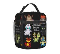 TFDGDGH Comment Dresser Votre Film Dragons Sac à Lunch Isotherme pour Pique-Sac Alimentaire Portable Glacière Boîtes à Lunch Thermiques