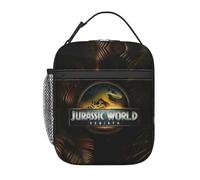 TFDGDGH dinosaures Attack World Sac fourre-tout à déjeuner isolé Mission secrète Conteneur alimentaire étanche Glacière Boîtes thermiques