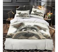 TFEDACVSS Éclairs Bleus Housse de Couette 3D Imprimée Microfibre résistante Léger Fantaisie numérique Parure de Lit Fermeture Éclair Douce Hypoallergique for Enfant King（220x240cm）