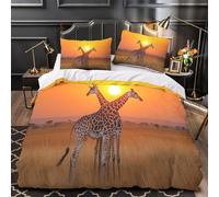 TFEDACVSS Formules mathématiques Parure de Lit Imprimé en 3D Microfibre Ultra Douce Hypoallergique Housse de Couette Fermeture Éclair Super Douce Respirante for Ado Super King（260x220cm）