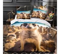 TFEDACVSS Formules mathématiques Parure de Lit Microfibre résistante 3D Imprimée Léger Housse de Couette Fermeture Éclair Hypoallergique Respirante Confortable for Femmes Super King（260x220cm）