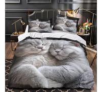 TFEDACVSS Trio de Pingouins Mignons Parure de Lit Imprimé en 3D Microfibre Ultra Douce Léger Housse de Couette Fermeture Éclair Super Douce Hypoallergique for Garçons Filles Double（200x200cm）