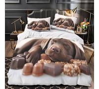 TFEDACVSS Un Adorable Carlin Qui Jette Un Coup d'œil Parure de Lit Imprimé en 3D Microfibre résistante Confortable Housse de Couette Fermeture Éclair Super Douce Respirante for Ado King（220x240cm）