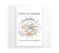 TFHISTRZGV What I Can and Cannot Control Poster Circle of Control Chart Growth Mindset Mental Health Decor for Classroom School Counselor Office Calming Wall-Art(Unframed,08X12inch(20X30cm))