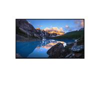 TFT U2424H 23.8IN IPS SANS S 1920X1080 16:9 HDMI/DP/USB [EEK: F]