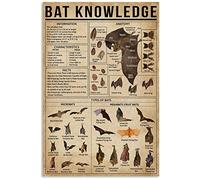 TFZQm Poster de chauve-souris - Type anatomie - Panneaux en métal - Décoration de chambre - Éducation scientifique - Farm Club - Décoration murale rétro - 20,3 x 15,2 cm