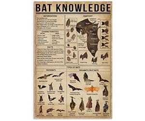 TFZQm Poster de chauve-souris - Type anatomie - Panneaux en métal - Décoration de chambre - Éducation scientifique - Farm Club - Décoration murale rétro - 20,3 x 15,2 cm