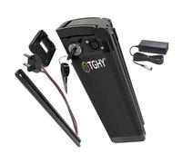 TGHY Batterie 24 V pour Tube Diagonal, 36 V, 48 V